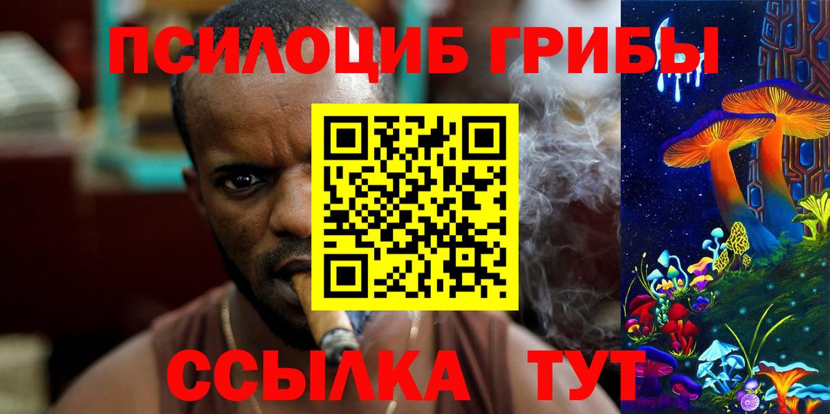 Галлюциногенные грибы Psilocybe  Вход с VPN  Заволжье  Галлюциногенные грибы Magic Shrooms 